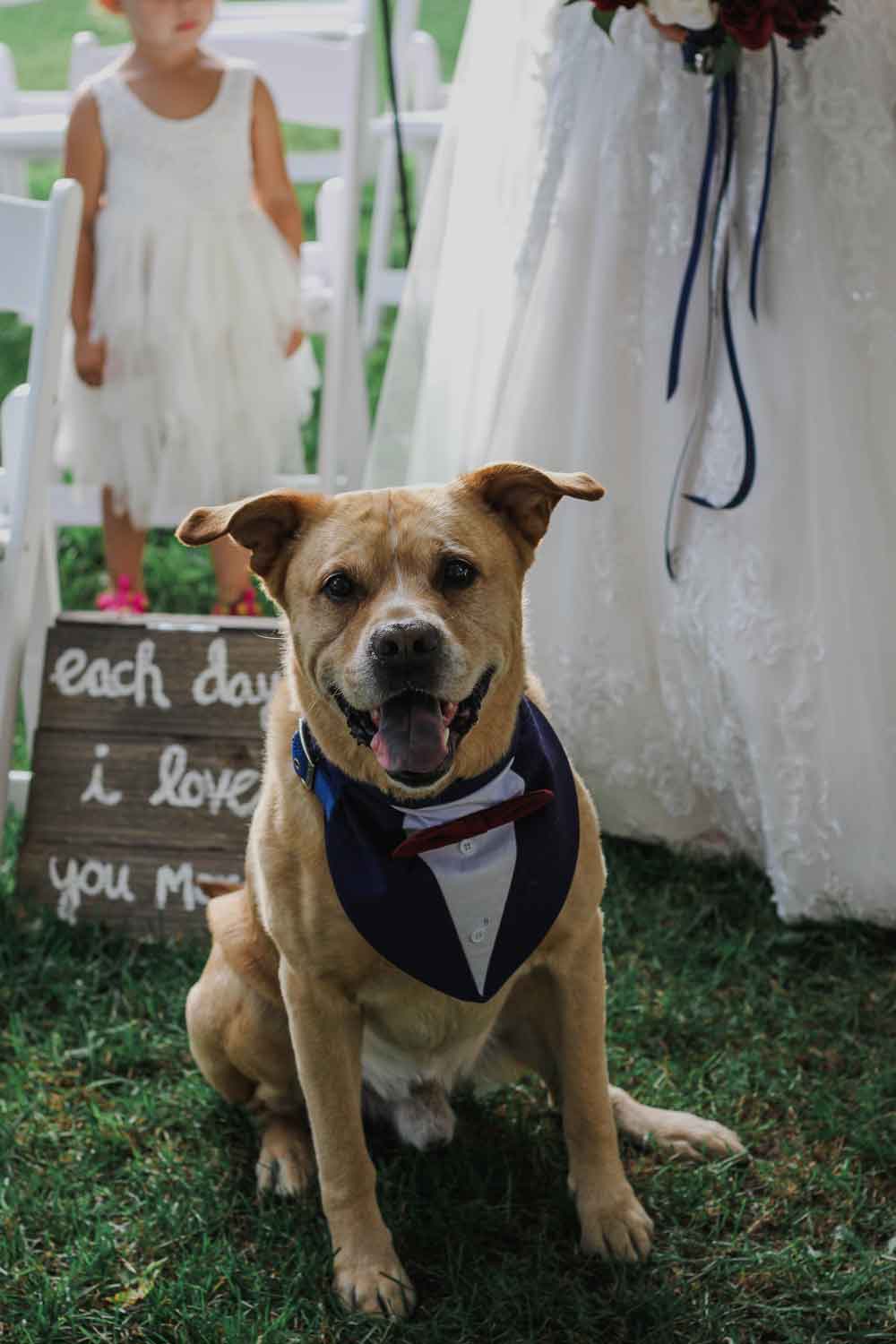 How-to-plan-a-wedding